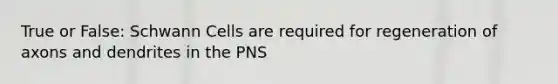 True or False: Schwann Cells are required for regeneration of axons and dendrites in the PNS