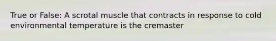 True or False: A scrotal muscle that contracts in response to cold environmental temperature is the cremaster