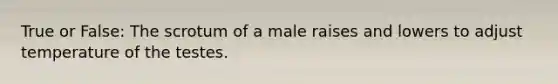 True or False: The scrotum of a male raises and lowers to adjust temperature of the testes.