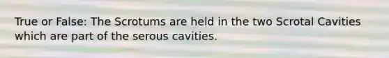 True or False: The Scrotums are held in the two Scrotal Cavities which are part of the serous cavities.