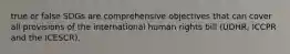 true or false SDGs are comprehensive objectives that can cover all provisions of the international human rights bill (UDHR, ICCPR and the ICESCR).