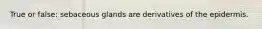 True or false: sebaceous glands are derivatives of the epidermis.