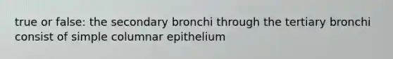 true or false: the secondary bronchi through the tertiary bronchi consist of simple columnar epithelium