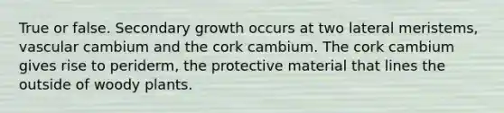 True or false. Secondary growth occurs at two lateral meristems, vascular cambium and the cork cambium. The cork cambium gives rise to periderm, the protective material that lines the outside of woody plants.