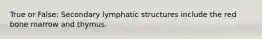 True or False: Secondary lymphatic structures include the red bone marrow and thymus.