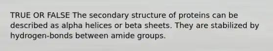 TRUE OR FALSE The secondary structure of proteins can be described as alpha helices or beta sheets. They are stabilized by hydrogen-bonds between amide groups.