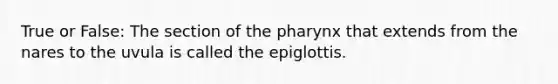 True or False: The section of the pharynx that extends from the nares to the uvula is called the epiglottis.