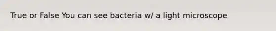 True or False You can see bacteria w/ a light microscope