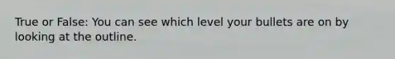 True or False: You can see which level your bullets are on by looking at the outline.