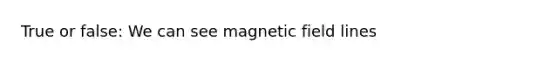 True or false: We can see magnetic field lines