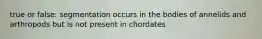 true or false: segmentation occurs in the bodies of annelids and arthropods but is not present in chordates
