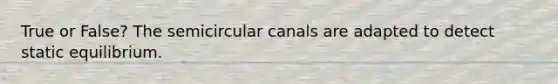 True or False? The semicircular canals are adapted to detect static equilibrium.