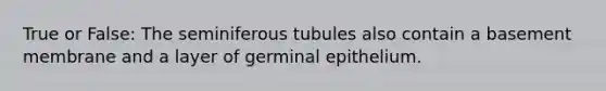 True or False: The seminiferous tubules also contain a basement membrane and a layer of germinal epithelium.