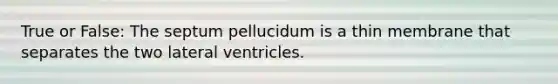 True or False: The septum pellucidum is a thin membrane that separates the two lateral ventricles.