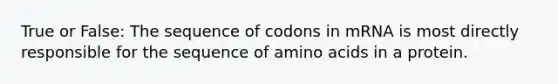 True or False: The sequence of codons in mRNA is most directly responsible for the sequence of amino acids in a protein.