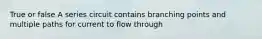 True or false A series circuit contains branching points and multiple paths for current to flow through