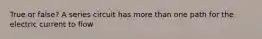True or false? A series circuit has more than one path for the electric current to flow