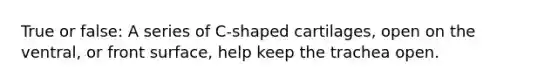True or false: A series of C-shaped cartilages, open on the ventral, or front surface, help keep the trachea open.