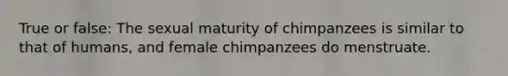 True or false: The sexual maturity of chimpanzees is similar to that of humans, and female chimpanzees do menstruate.