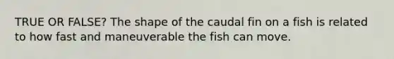 TRUE OR FALSE? The shape of the caudal fin on a fish is related to how fast and maneuverable the fish can move.