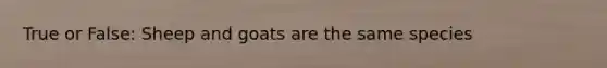 True or False: Sheep and goats are the same species