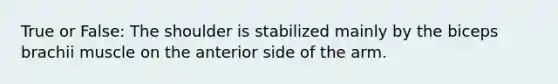 True or False: The shoulder is stabilized mainly by the biceps brachii muscle on the anterior side of the arm.