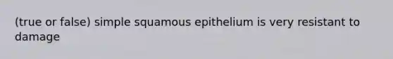 (true or false) simple squamous epithelium is very resistant to damage