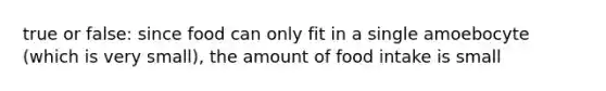 true or false: since food can only fit in a single amoebocyte (which is very small), the amount of food intake is small