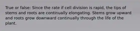 True or false: Since the rate if <a href='https://www.questionai.com/knowledge/kjHVAH8Me4-cell-division' class='anchor-knowledge'>cell division</a> is rapid, the tips of stems and roots are continually elongating. Stems grow upward and roots grow downward continually through the life of the plant.