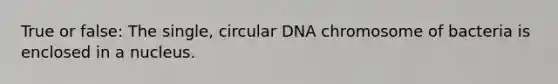 True or false: The single, circular DNA chromosome of bacteria is enclosed in a nucleus.