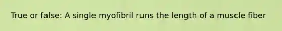 True or false: A single myofibril runs the length of a muscle fiber