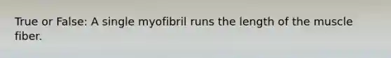 True or False: A single myofibril runs the length of the muscle fiber.