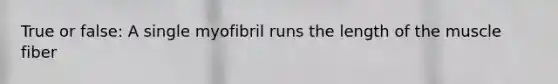 True or false: A single myofibril runs the length of the muscle fiber