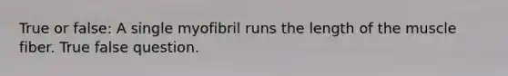 True or false: A single myofibril runs the length of the muscle fiber. True false question.