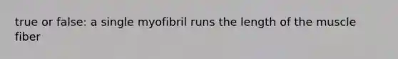 true or false: a single myofibril runs the length of the muscle fiber