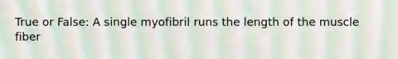 True or False: A single myofibril runs the length of the muscle fiber