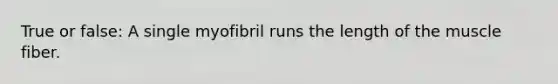 True or false: A single myofibril runs the length of the muscle fiber.