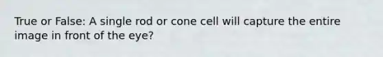 True or False: A single rod or cone cell will capture the entire image in front of the eye?