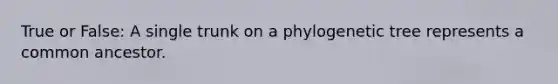 True or False: A single trunk on a phylogenetic tree represents a common ancestor.
