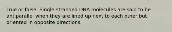 True or false: Single-stranded DNA molecules are said to be antiparallel when they are lined up next to each other but oriented in opposite directions.