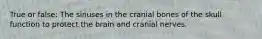 True or false: The sinuses in the cranial bones of the skull function to protect the brain and cranial nerves.