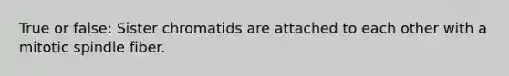 True or false: Sister chromatids are attached to each other with a mitotic spindle fiber.