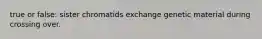 true or false: sister chromatids exchange genetic material during crossing over.