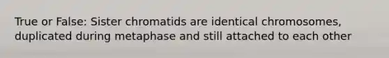 True or False: Sister chromatids are identical chromosomes, duplicated during metaphase and still attached to each other