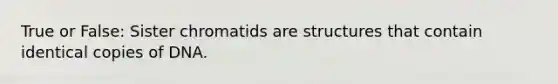 True or False: Sister chromatids are structures that contain identical copies of DNA.