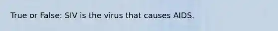 True or False: SIV is the virus that causes AIDS.