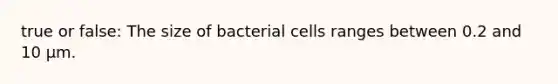 true or false: The size of bacterial cells ranges between 0.2 and 10 µm.