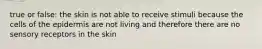 true or false: the skin is not able to receive stimuli because the cells of the epidermis are not living and therefore there are no sensory receptors in the skin