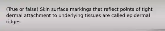 (True or false) Skin surface markings that reflect points of tight dermal attachment to underlying tissues are called epidermal ridges