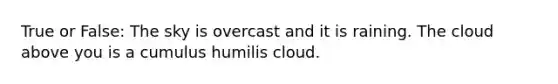 True or False: The sky is overcast and it is raining. The cloud above you is a cumulus humilis cloud.